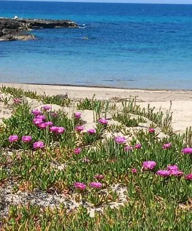 Casetta De Benedictis * Ostuni